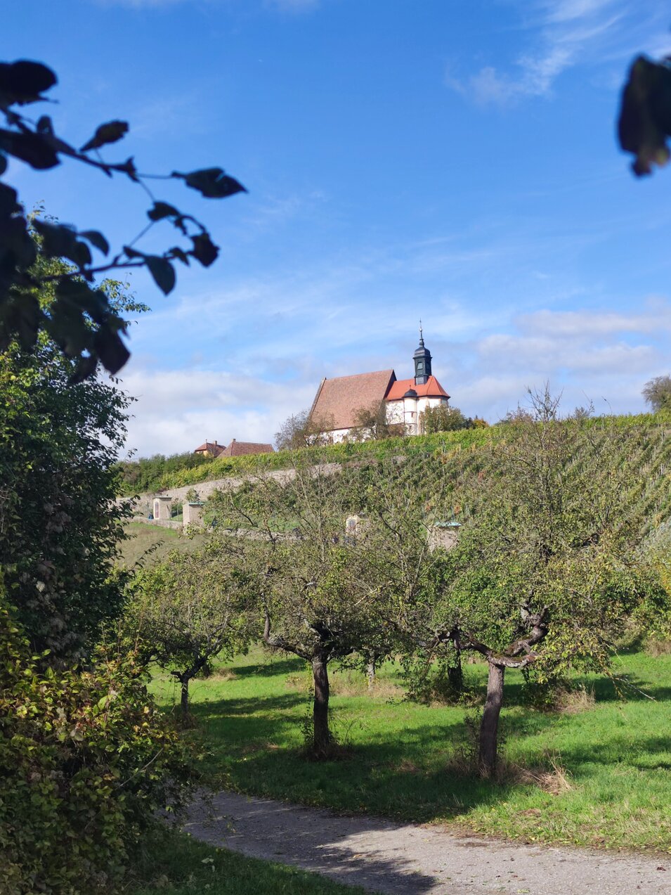 Wallfahrtskirche Maria im Weingarten Die Wallfahrtskirche Maria im Weingarten bei Volkach war eines der Ziele der Wanderfahrt